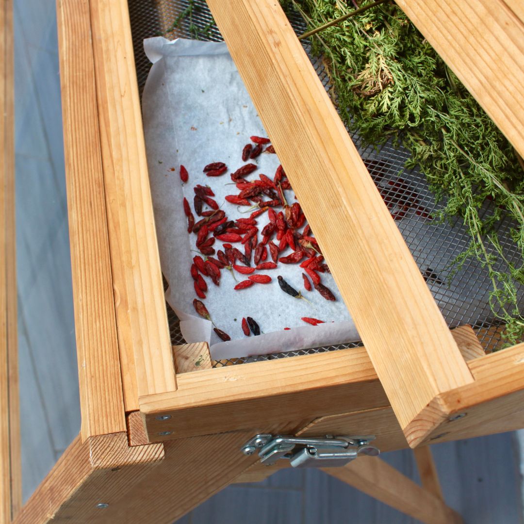 Solar dryer: dehydrate your food using the sun's energy ☀️