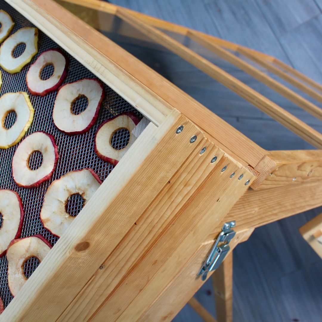 Solar dryer: dehydrate your food using the sun's energy ☀️