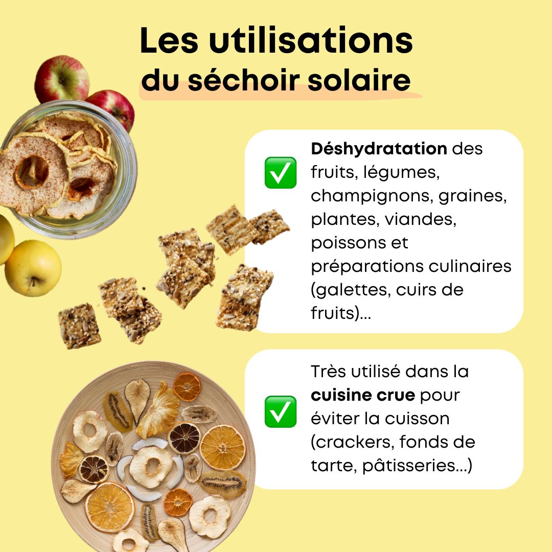 Solar dryer: dehydrate your food using the sun's energy ☀️