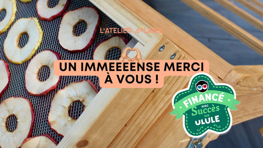 Campagne Ulule terminée : un immense merci ☀️