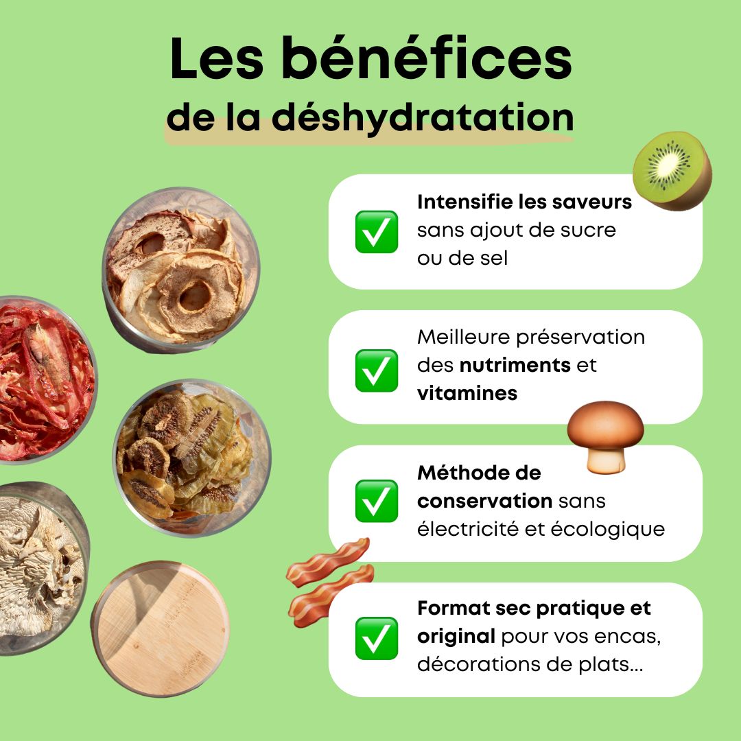 Séchoir solaire : déshydrater vos aliments grâce à l'énergie du soleil ☀️